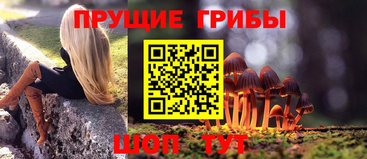 Галлюциногенные грибы Psilocybine cubensis  Вход с VPN  наркота  Кохма 