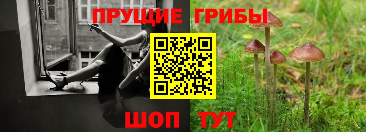Галлюциногенные грибы Psilocybine cubensis Кохма